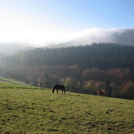 Ferienhaus Rhoenspass Mosbach  Eksteriør billede
