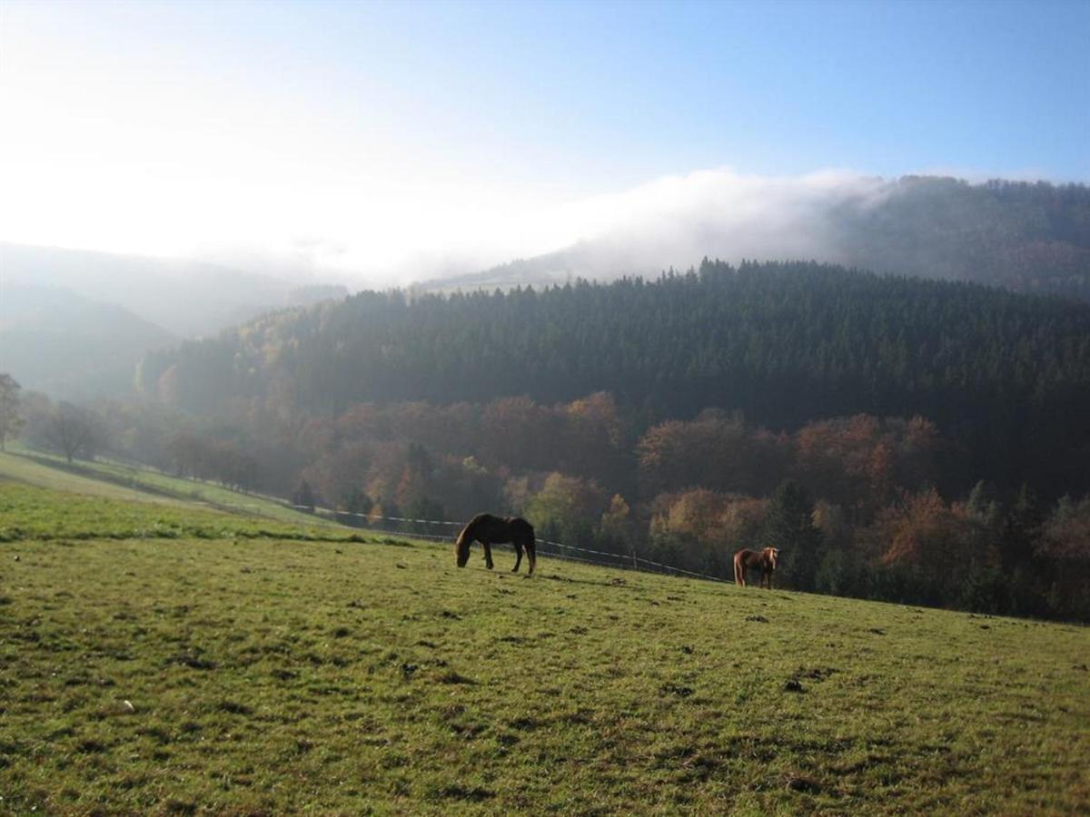 Ferienhaus Rhoenspass Mosbach  Eksteriør billede