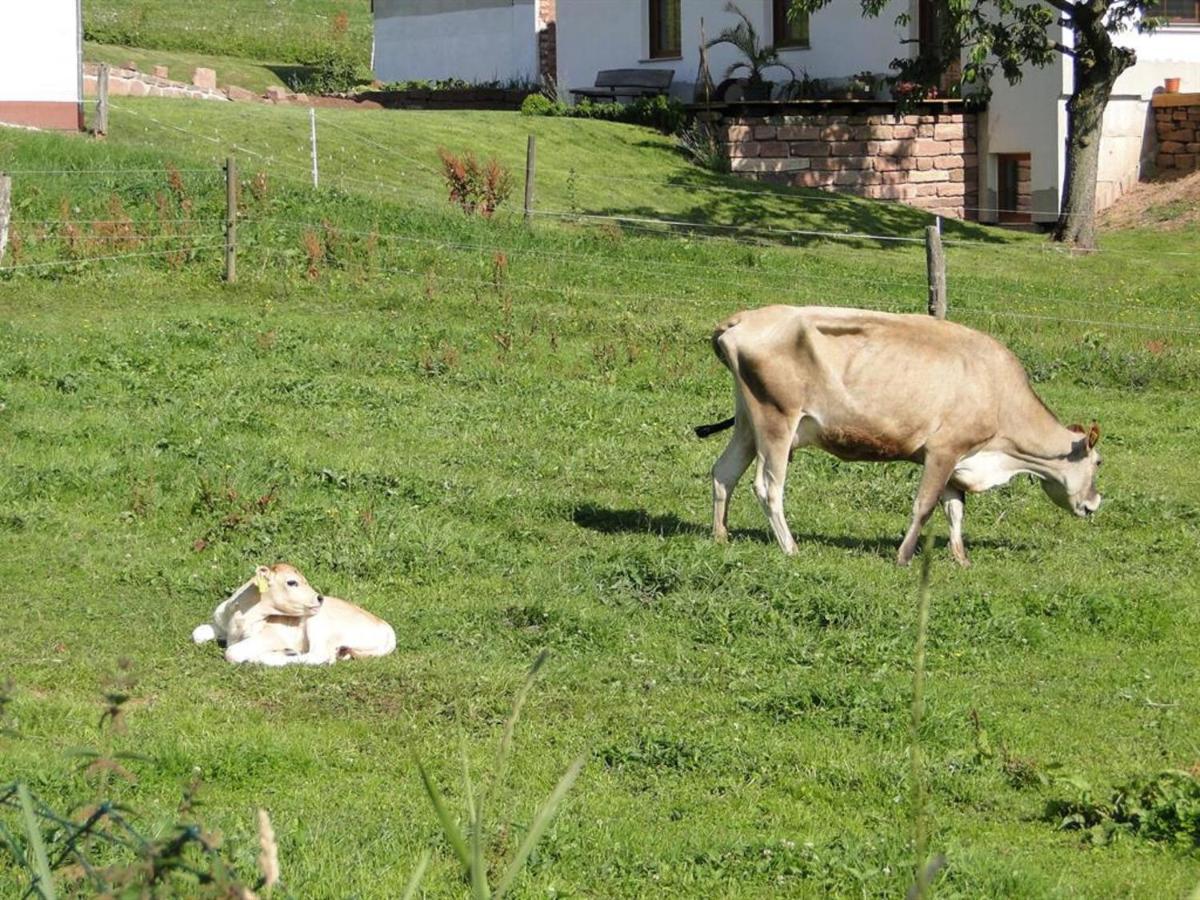Ferienhaus Rhoenspass Mosbach  Eksteriør billede