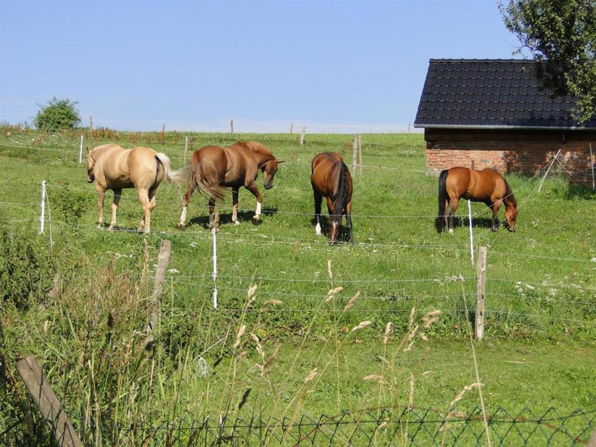 Ferienhaus Rhoenspass Mosbach  Eksteriør billede